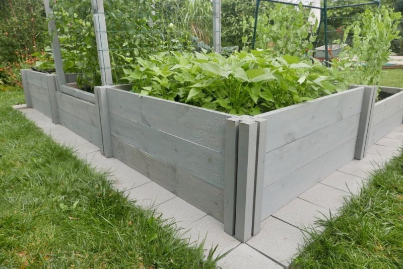 WARZYWNIK DREWNIANY TYP M