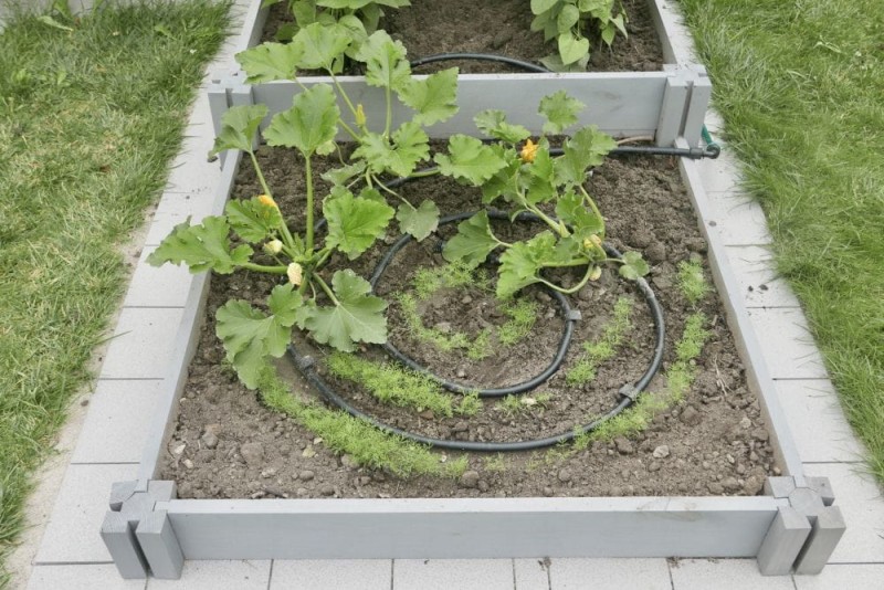 Ślimak - system nawadniania - SNS - gardentechnika.pl