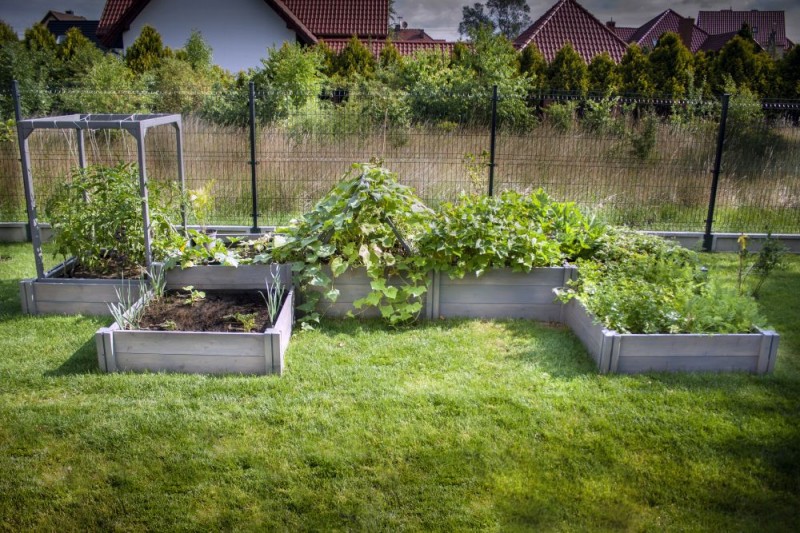 WARZYWNIK DREWNIANY TYP M