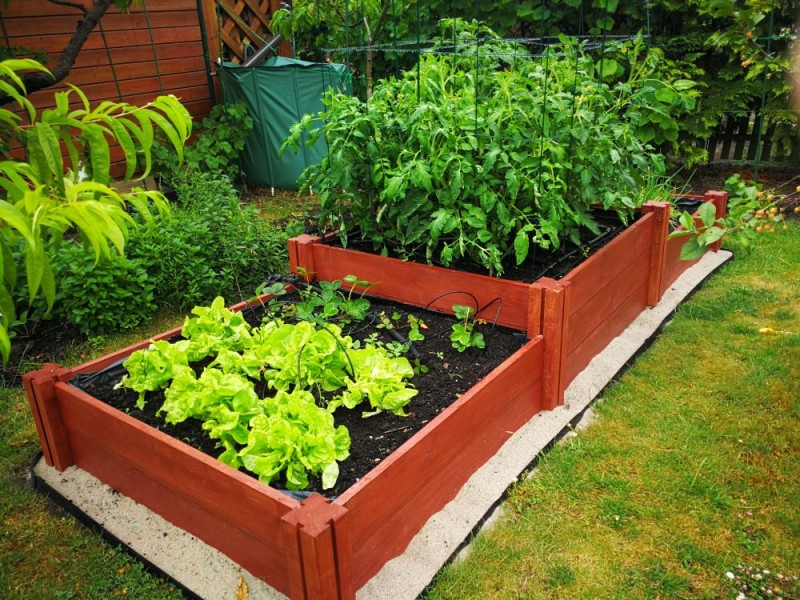 WARZYWNIK DREWNIANY TYP M