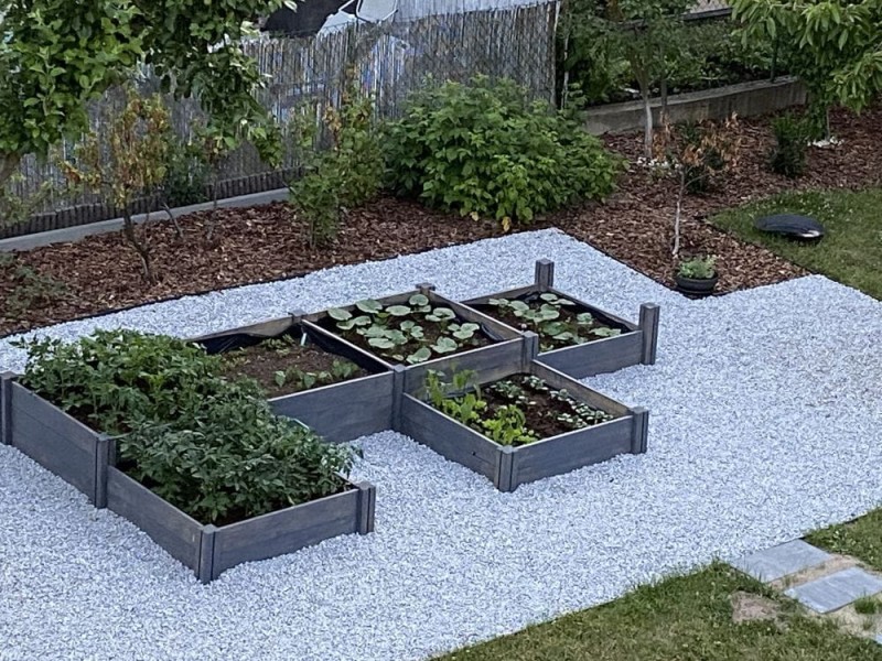 WARZYWNIK DREWNIANY TYP M