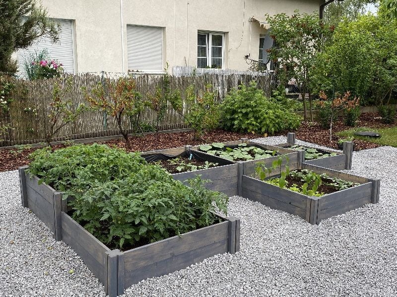 WARZYWNIK DREWNIANY TYP M