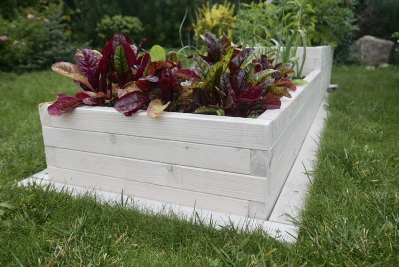 WARZYWNIK DREWNIANY TYP XL SLIM