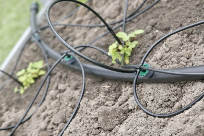 Wąsy - system nawadniania punktowego - SNP8 - gardentechnika.pl