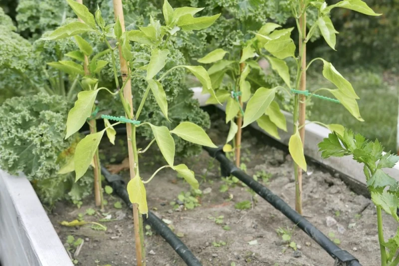 Ramki - system nawadniania liniowego - SNL3 - gardentechnika.pl