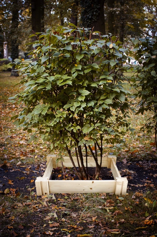 woodtechnika-warzywnik-drewniany-rabata-ogrodowa-modulowa-niska-3.webp