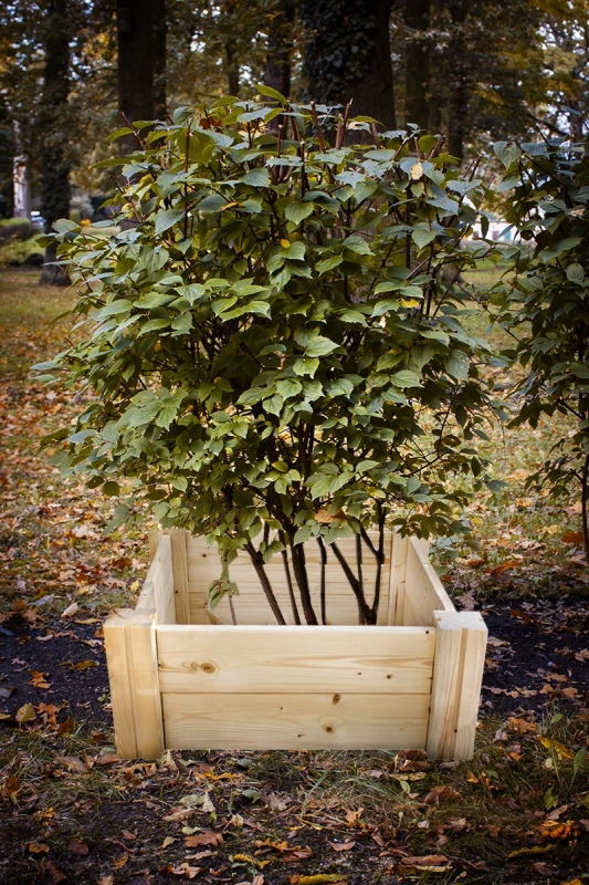 woodtechnika-donica-drewniana-skrzynia-modulowa-srednia-3.webp