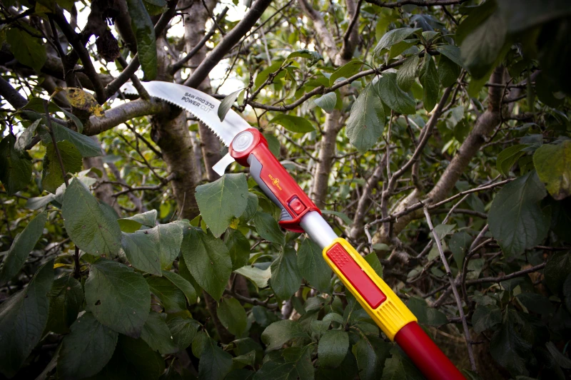 gardentechnika - piła - narzędzia ogrodnicze na wiosnę