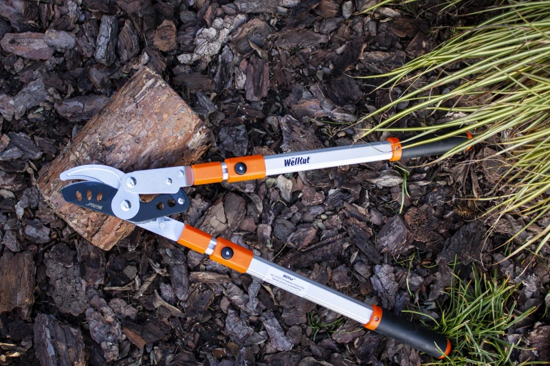 gardentechnika - sekator  narzędzia ogrodnicze na wiosnę