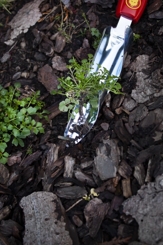 gardentechnika - najlepsze narzędzia do chwastów