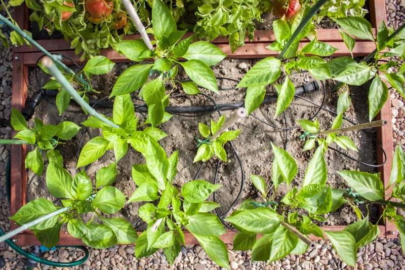 gardentechnika - niezbędne narzędzia w ogrodzie do prac ogrodowych
