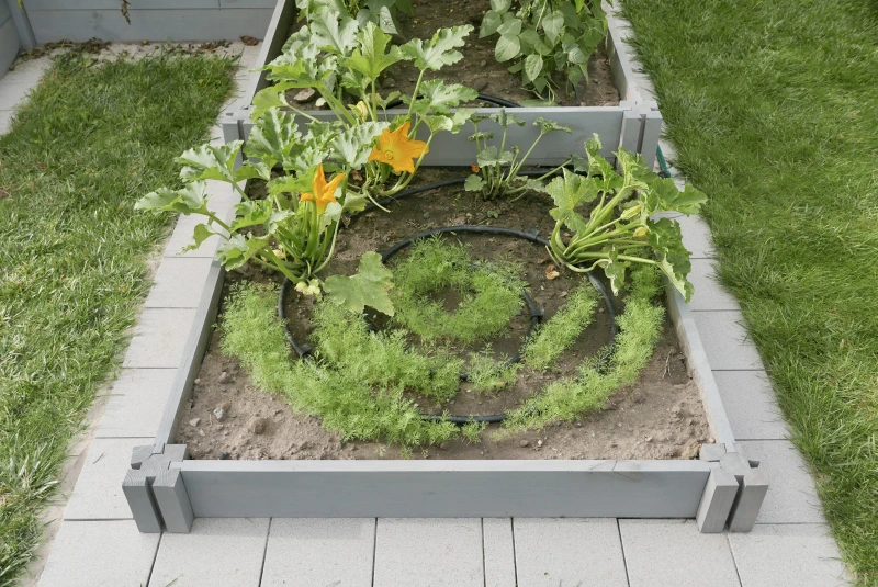 gardentechnika.pl - nawadnianie w warzywnikach drewnianych