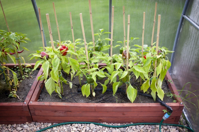 gardentechnika.pl - nawadnianie w warzywnikach drewnianych