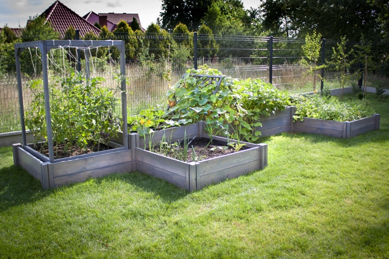 gardentechnika.pl przydomowe rabaty - warzywniki drewniane