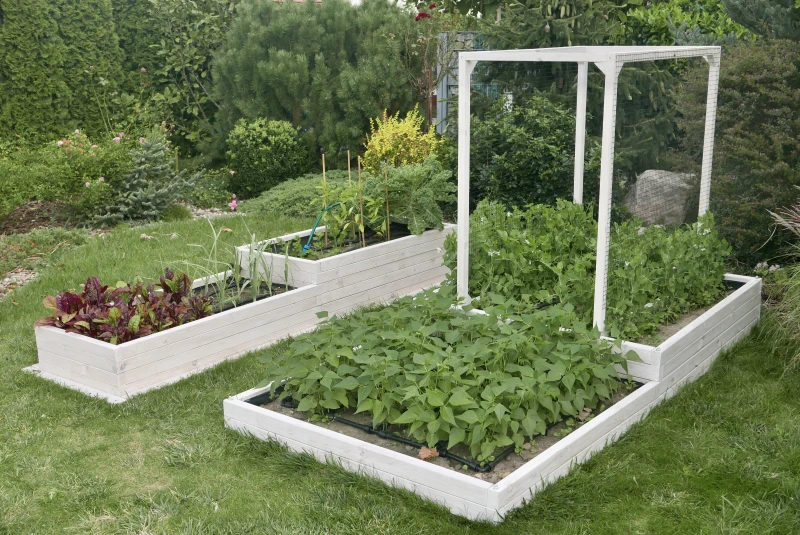gardentechnika.pl - Rabaty ogrodowe - dlaczego warto je mieć we własnym ogrodzie?