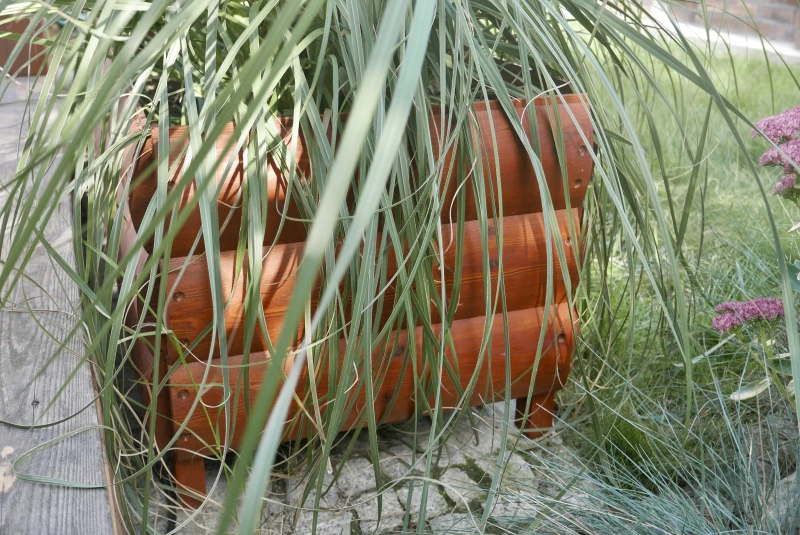 gardentechnika.pl - rośliny w warzywnikach drewnianych