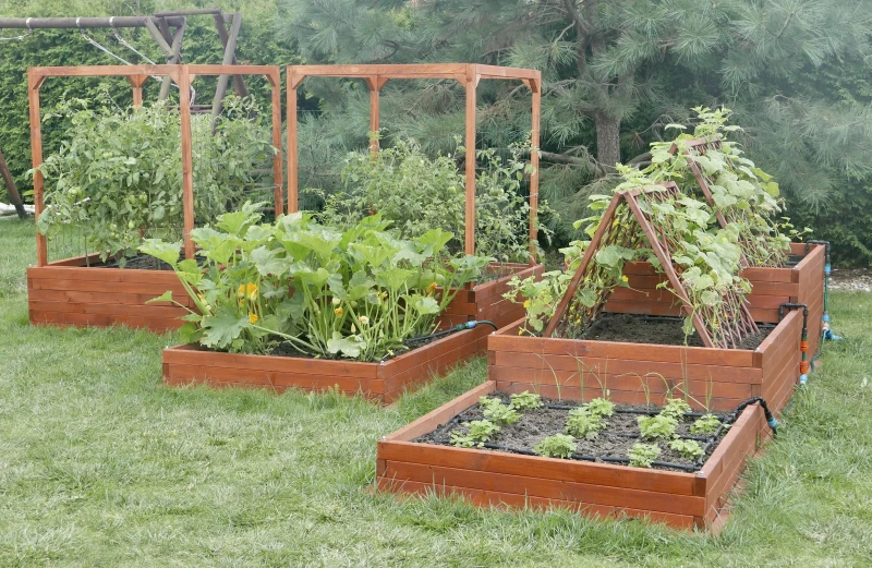 gardentechnika.pl - rośliny w warzywnikach drewnianych