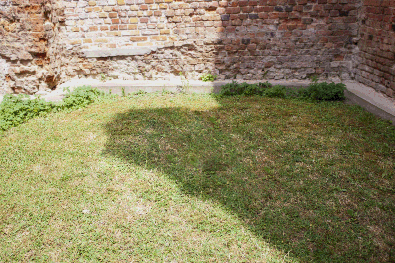gardentechnika.pl - paleniska ogrodowe z grilem